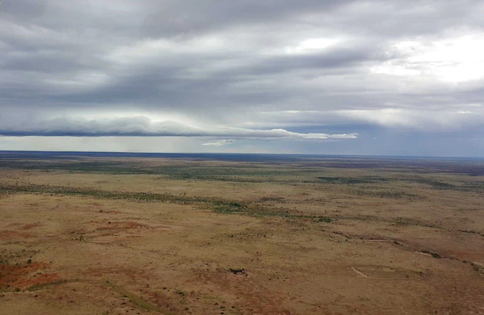 Deaths at mustering – possible metabolic