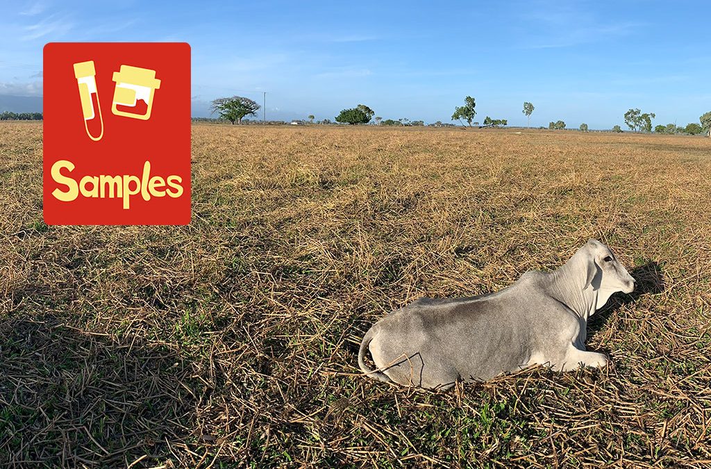 Laboratory diagnosis of botulism