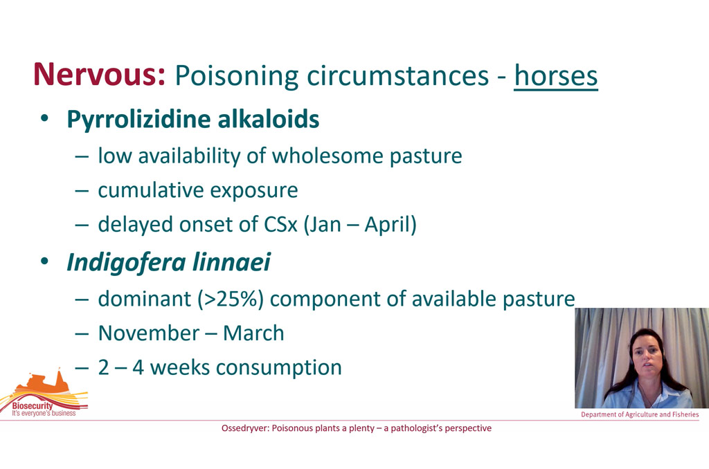 circumstances where indigofera poisoning tends to occur