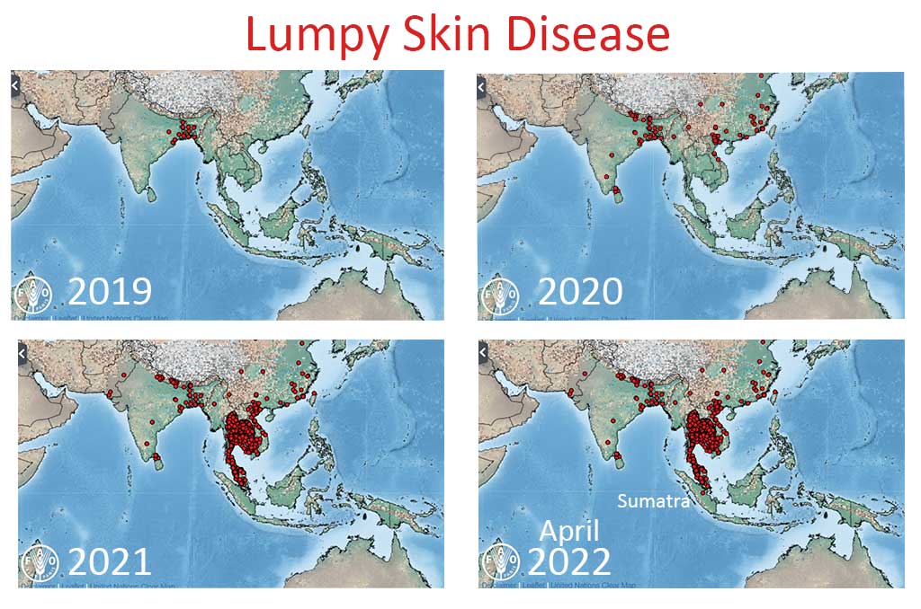 confirmed cases of Lumpy Skin Disease in southeast Asia from 2019 through to April 2022