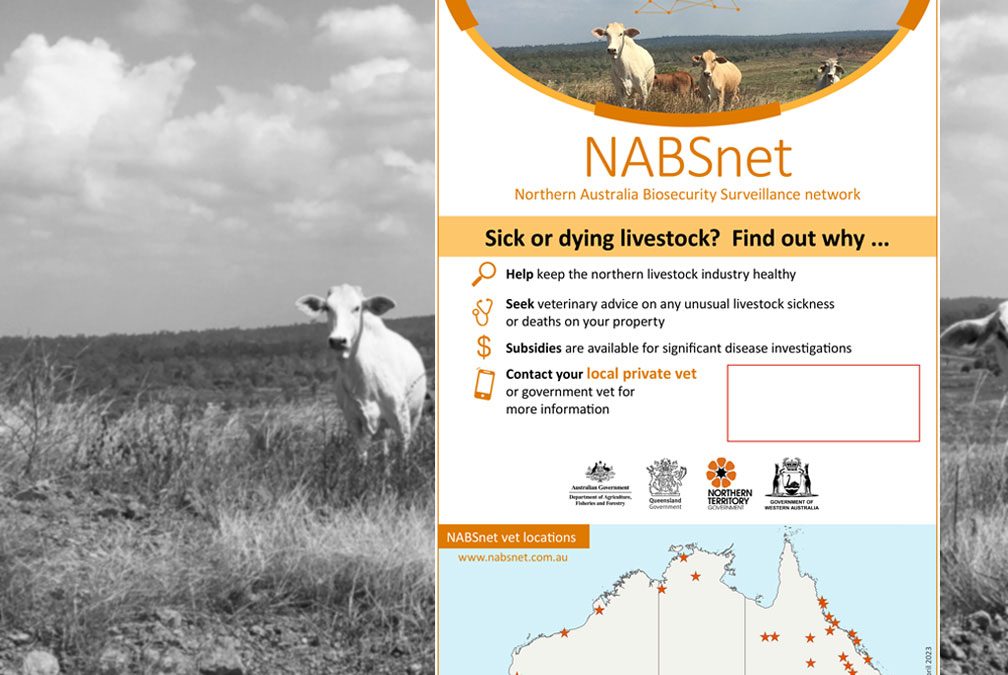 SDI flyer for livestock clients