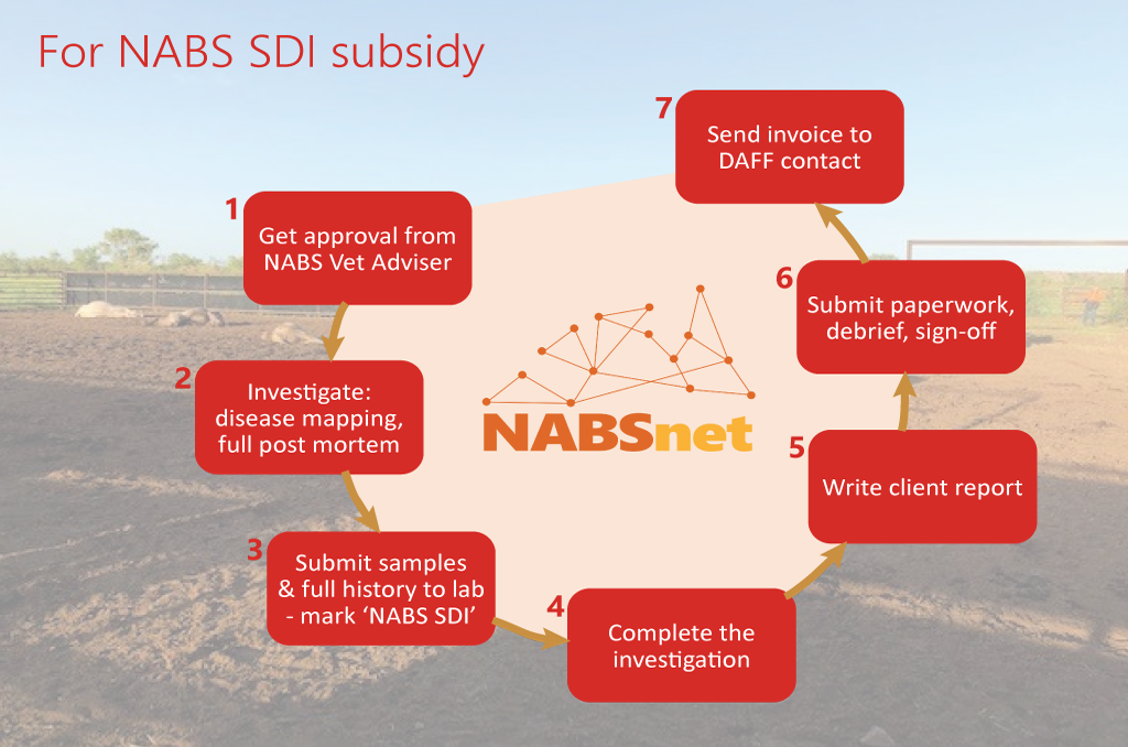The 7 steps that make a NABSnet significant disease investigation