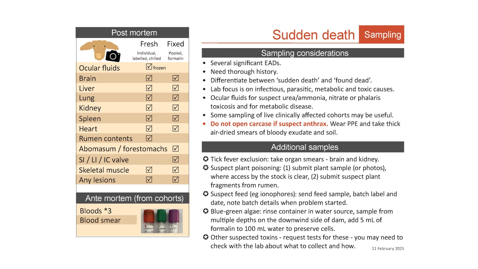 Sampling guide for neurological syndromes in cattle