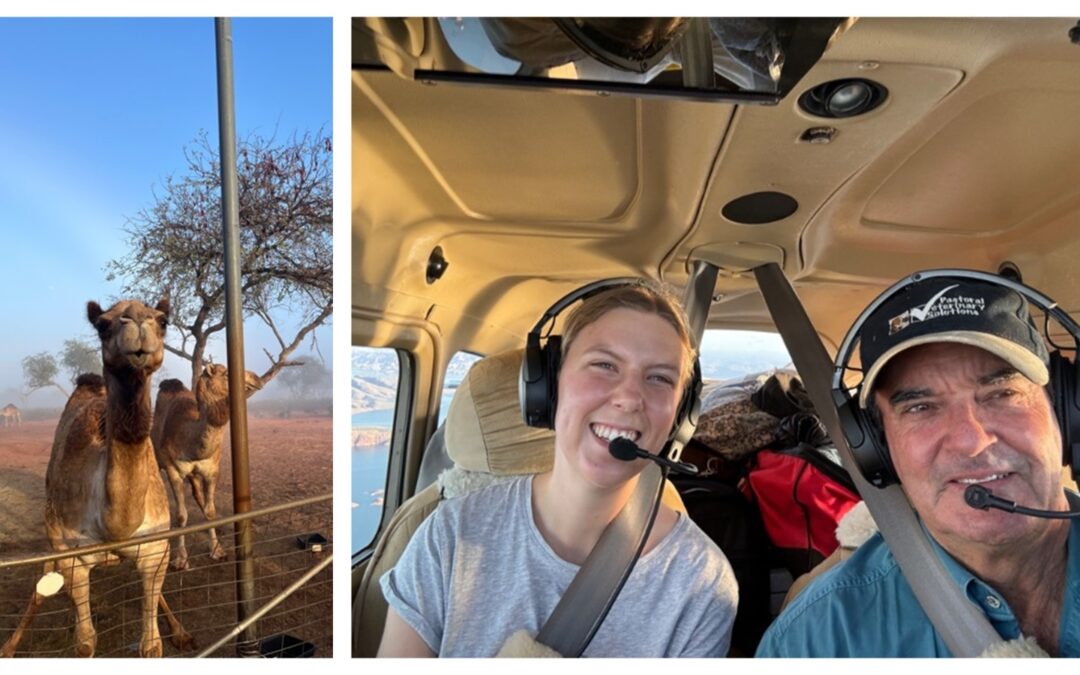 Veterinary student subsidies for placements in northern Australia