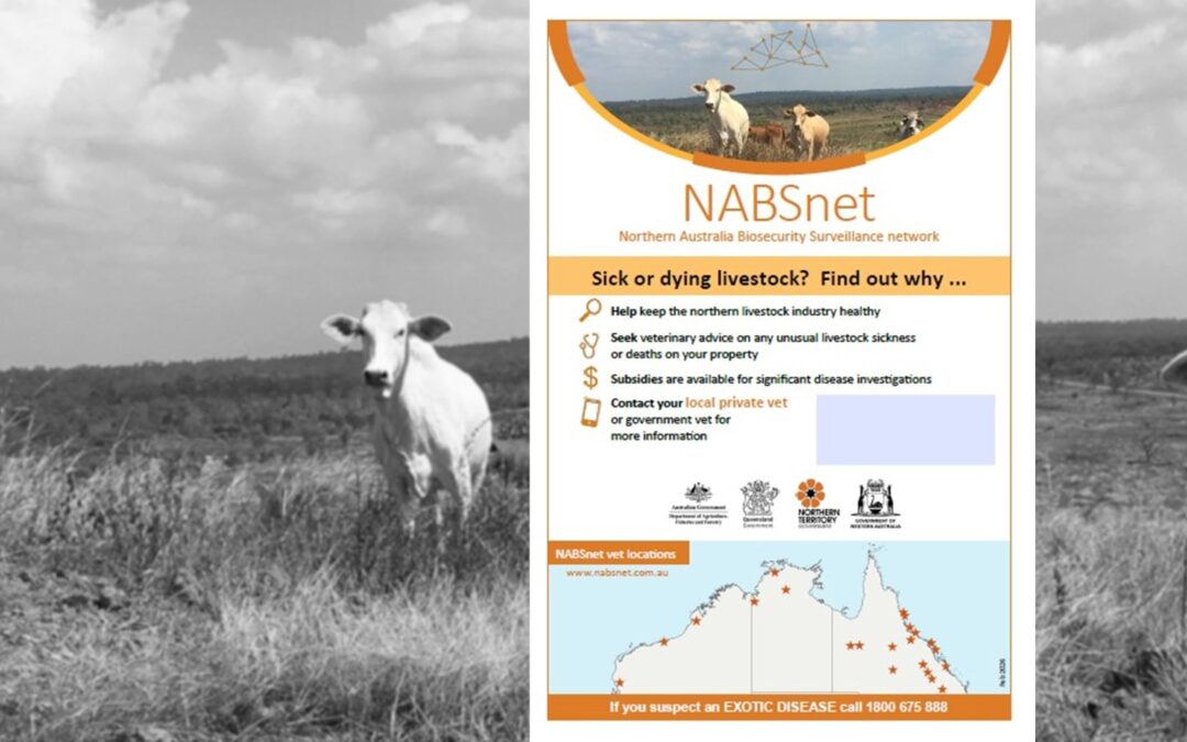 SDI flyer for livestock clients