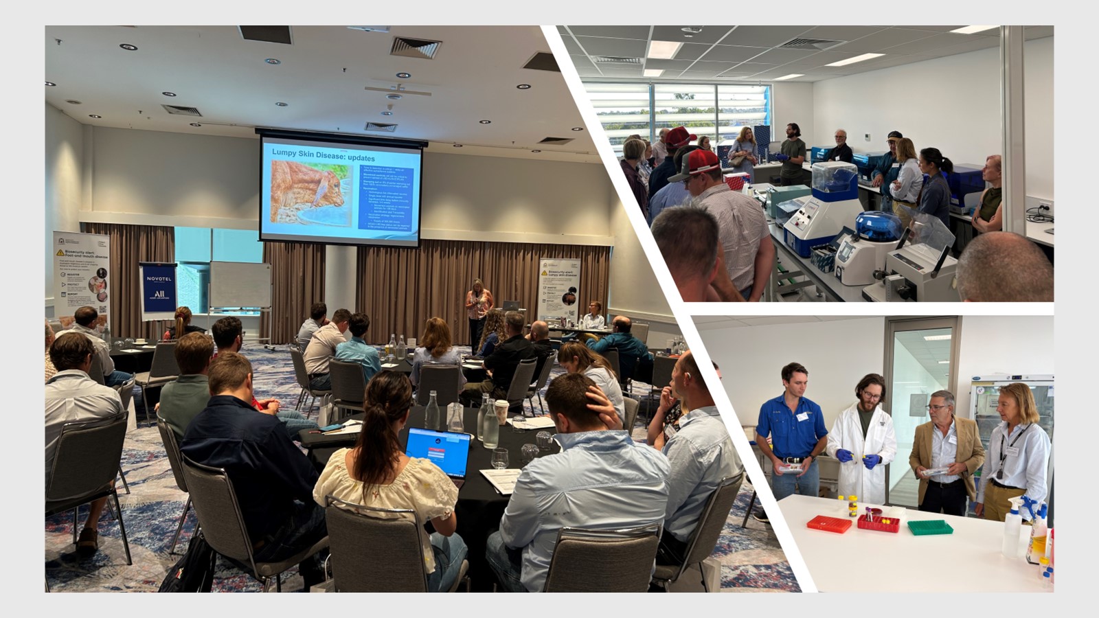 focused on the ways in which private practitioners could be involved in an EAD response, including a practical workshop (hypothetical scenario). 